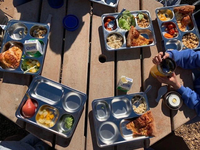 Bird's eye view of student lunches in reusable trays