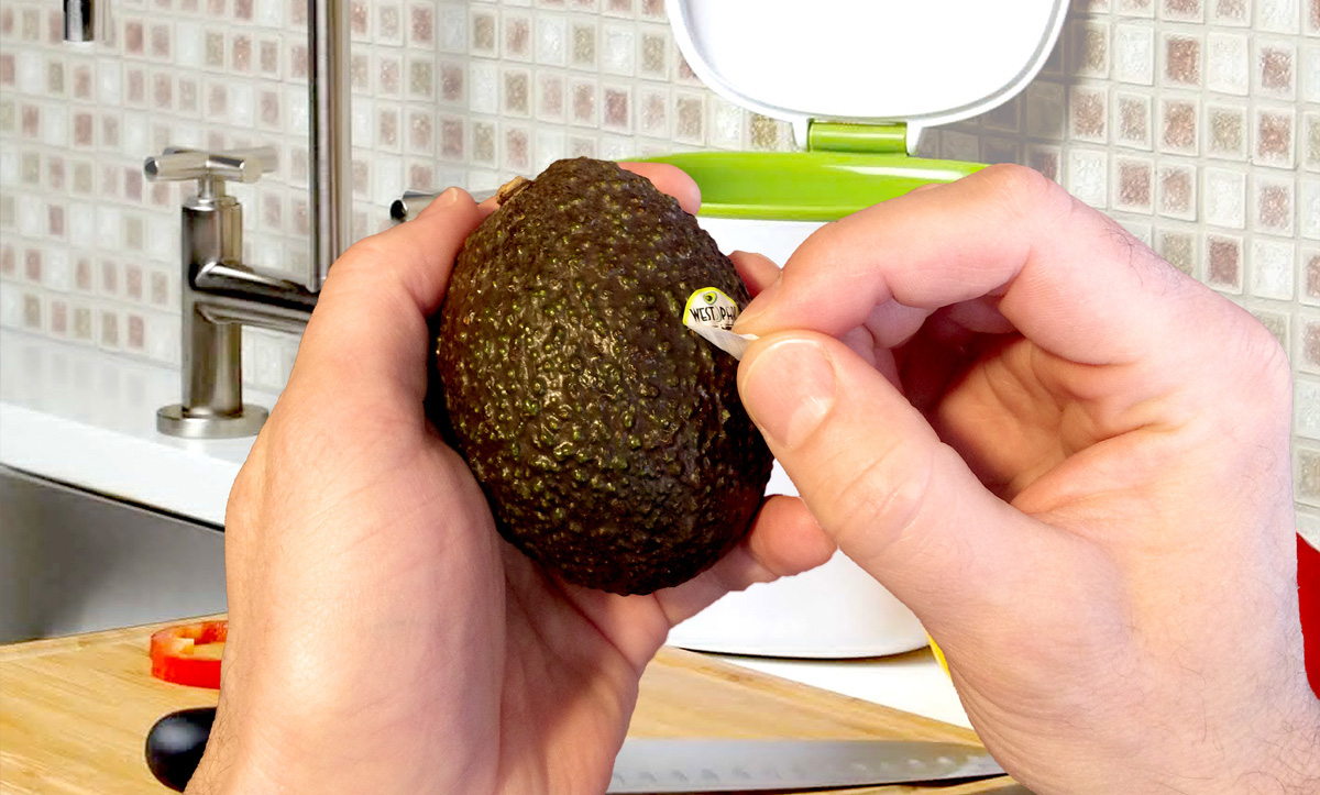 Peeling a sticker off an avocado