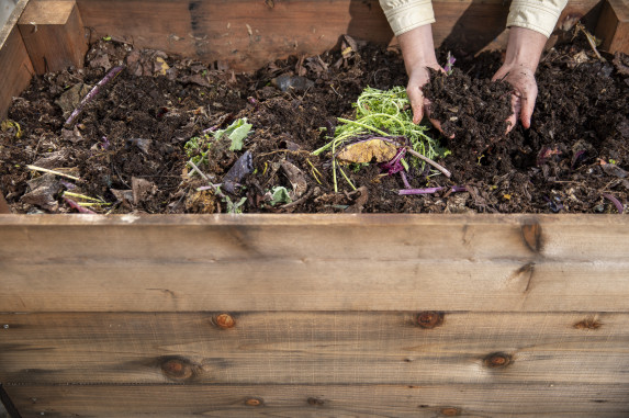 Hands holding compost in a wooden bin