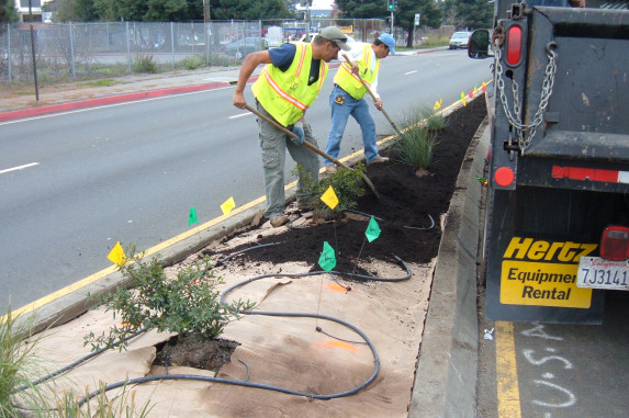 Two landscape workers sheetmulching 