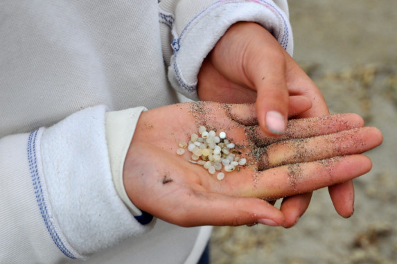 Young child holding a palmful of small pieces of plastic litter