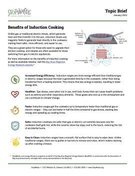 Pros and Cons of Induction Stoves - Induction Cooktop Advantages