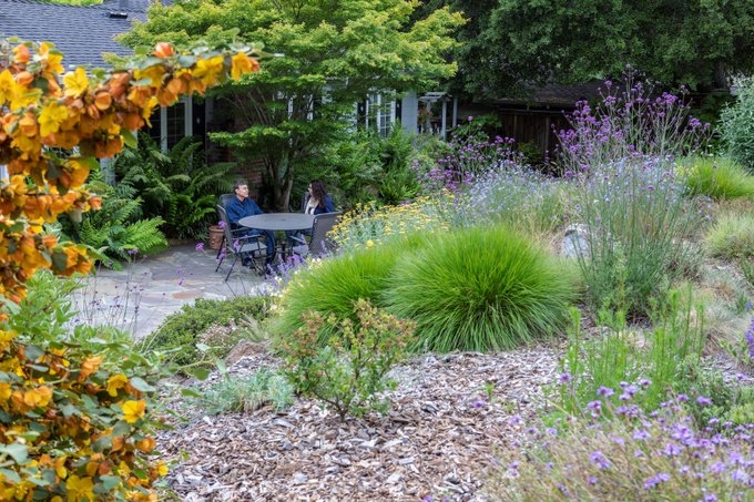 ebmud-lawn-to-garden-super-rebate-stopwaste-home-work-school